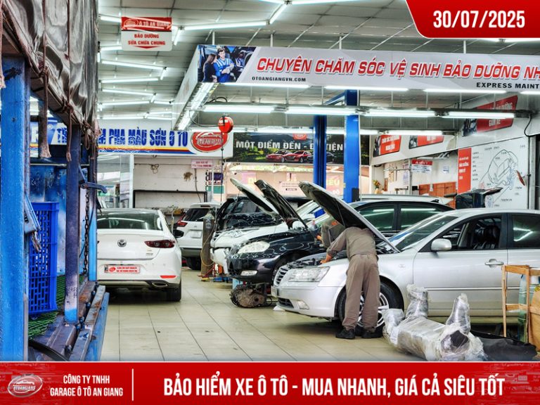 Bảo Hiểm Ô Tô Long Xuyên: An Tâm Lái Xe Cùng Garage Ô Tô An Giang!