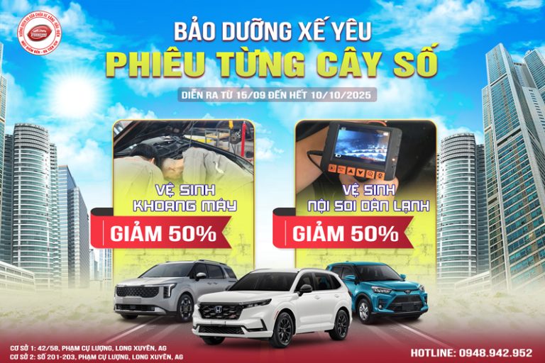 BẢO DƯỠNG XẾ YÊU – PHIÊU TỪNG CÂY SỐ