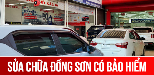 TRANG CHỦ - Ô Tô An Giang