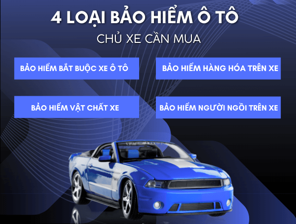 Mua Bảo Hiểm Ô Tô An Giang Uy Tín | Liên Kết Tasco & Garage Ô Tô An Giang